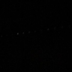 Meet your Posher, Dane